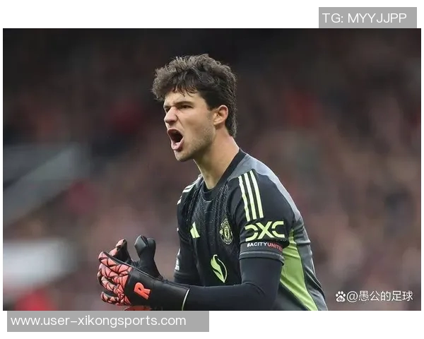 深度剖析拉门斯的门将之路：无可挑剔的表现与稳定性分析